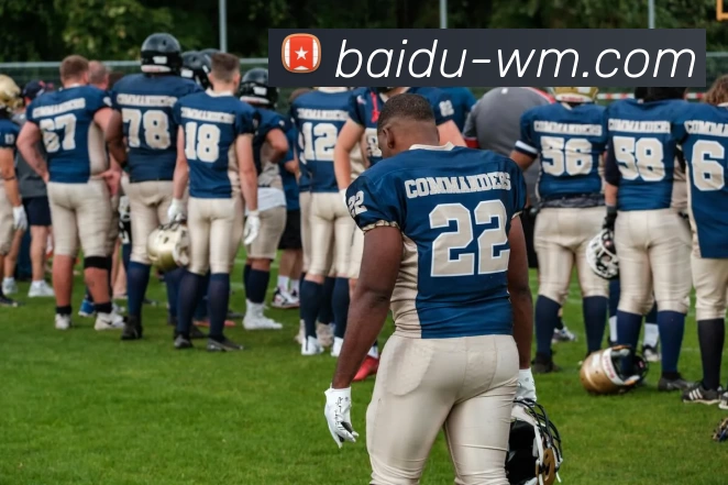 完美体育平台生态图