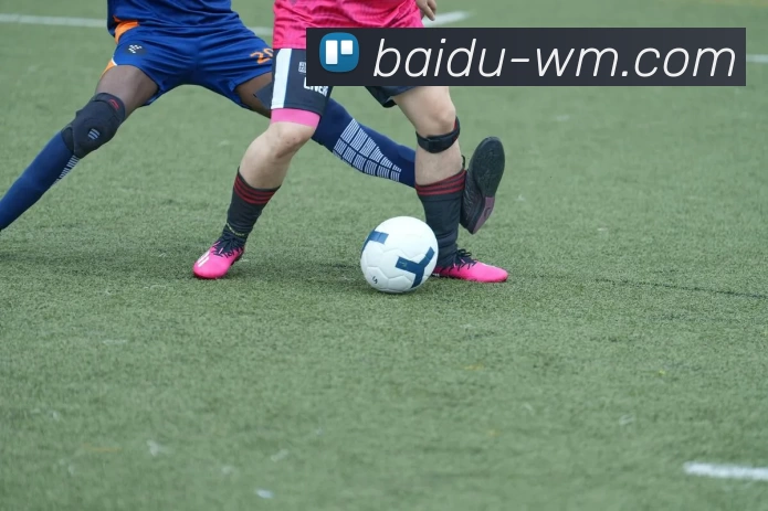 完美体育全站App